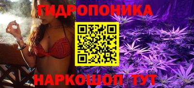 круглые Новодвинск